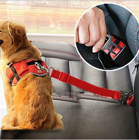 TİNEKE Evcil Hayvan Araç Emniyet Kemeri Kedi Köpek Araba Oto Tasması Oto Aksesuarları (KIRMIZI)
