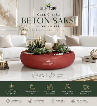 Büyük Boy Dekoratif Beton Saksı 33x8 cm Bonsai Saksısı Sukulent Saksısı İç ve Dış Mekan Saksı