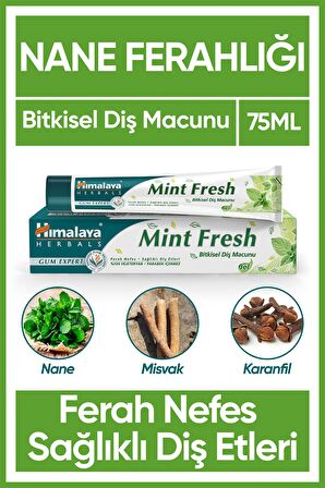 Himalaya Gum Expert Nane Aromalı Tam Koruma Bitkisel Diş Macunu 75 ml 