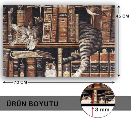 Tasarımlı Dekoratif Kapı önü Paspas, Dış Mekan/Ev İçi/Banyo/Mutfak/Yatak Odası/Giriş Paspasları (Uykucu Kedi, 45X70)