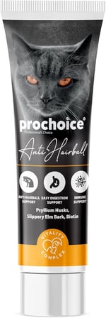 Anti Hairball Pasta Kediler İçin Kıl Yumağı Önleyici Vitamin 100 ml