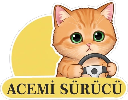 Parti Tasarla Acemi Sürücü Sevimli Kedi Araba Etiketi &amp; Sticker Çok Renkli