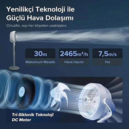 Sessiz Serinlik Ustası Akıllı Ayaklı Fan