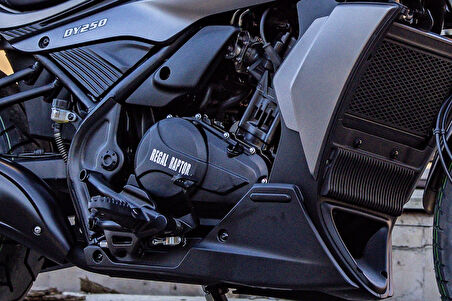 REGAL RAPTOR DY250 Cruiser Motorsiklet