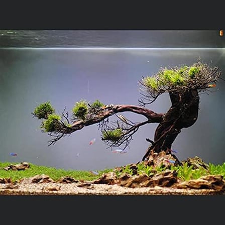 Brillant Kendinden Yapışkanlı Akvaryum Arka Fon Kumlama 1 Mt x 60 Cm