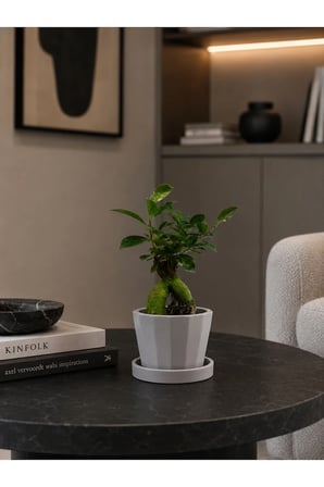 Dekoratif Beton Saksı V-125-AÇİK KREM