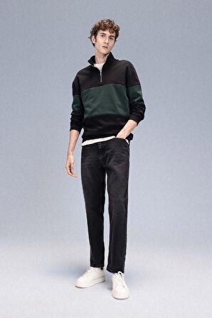 DeFacto Comfort Regular Fit Rahat Kalıp Dik Yaka Fermuarlı Çizgili Kalın Sweatshirt D2401AX24AUBK34