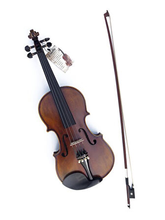 VANETTA VL-5 / 4/4 Masif Keman (Abanoz Burgu ve Aksam)