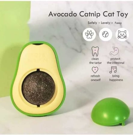 neo market Avakado Kedi Naneli Catnip Yalama Oyun Topu