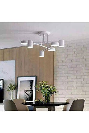 Nordic Celling Modern Led Avize