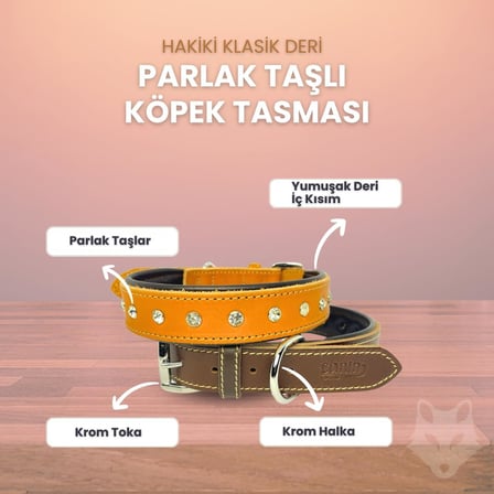 %100 Hakiki Deri - Antik Tokalı Köpek Tasması – Yumuşak İç Katman, Dayanıklı ve Şık Tasarım - Gerçek Deriden Tasma; Ekstra Küçük, Küçük, Orta, Büyük, Çok Büyük Köpekler İçin (Lacivert, XL)