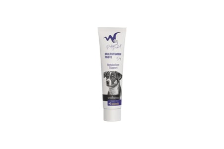 Multivitamin Dog Paste 100 Gr (Köpekler için Multivitamin Macunu)