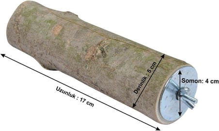 Ağaç Kütük Papağan Kuş Tüneği Kuşlar İçin Tünek Boy 17 cm Çap 3-5 cm