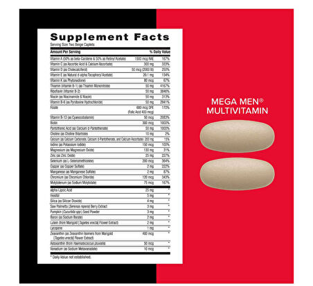 Mega Men Joint 30 Servis