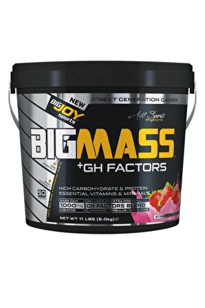 Bigjoy Bigmass Gainer +Gh Factors 5000 Gr Çilek 50 Servis