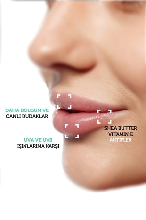 Dr.Clinic Nippon SPF 30 Güneş Korumalı ve Besleyici Dudak Bakım Balmı 10 ML