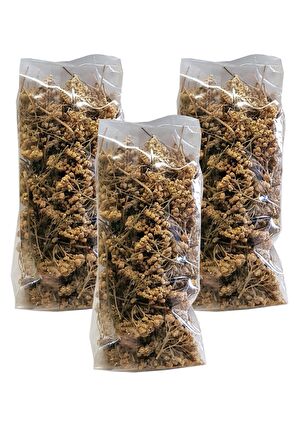 CİVAN PERÇEMİ 500 GR