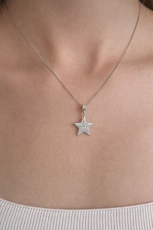 925 Ayar Gümüş Zirkon Taşlı Yıldız Kolye - 23181801