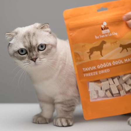 Freeze Dried Tavuk Göğüs Kedi ve Köpek Ödül Maması%100 Doğal, Glutensiz 30 gr(Cat&amp;Dog Treat)
