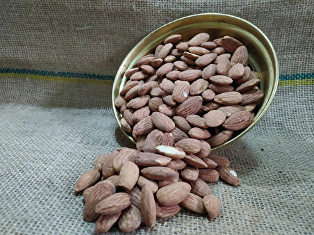 GURMEKENT BADEM İÇİ (KAVRULMUŞ) 500GR