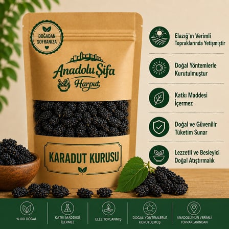  Karadut Kurusu 500 Gr | Kurutulmuş Meyve | Doğal ve Katkısız