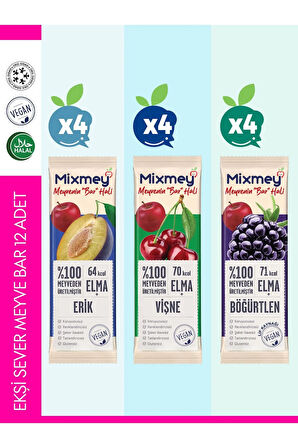Mixmey Ekşi Sever Meyve Bar 24 Adet | Vegan, Glutensiz, Sağlıklı Vegan Atıştırmalık - 20gr X 12 Adet
