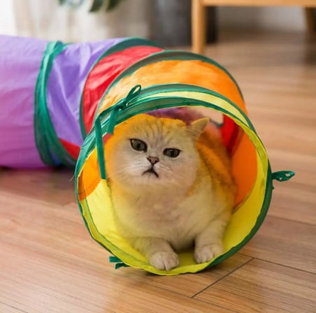 Busstier Gökkuşağı Renkli Katlanır Kedi ve Köpek Oyun Tüneli, Uzun Eğlenceli Evcil Hayvan Oyuncak Tüneli (Kıvrımlı)
