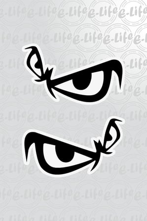 GÖZ STICKER 12 X 8 CM