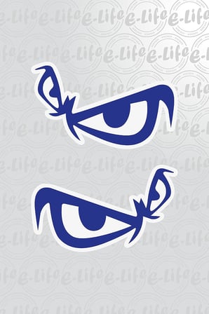 GÖZ STICKER 12 X 8 CM