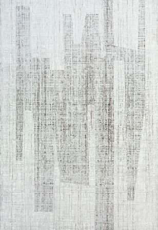 Elexus Halı Valesco 3937