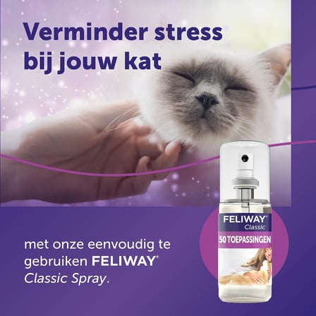 Feliway Classic sprey 60 ml