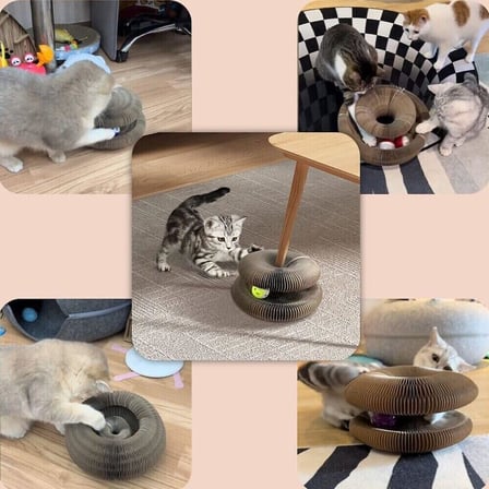 Kedi Tirmalama Oyuncagi İ̇Nteraktif Katlanabilir – Catnipli Akordeon Tasarim, Toplu & Zeka Gelistirici Kedi Oyuncagi – Dayanikli Dalga Mukavva, Ev İ̇Ci Tirmalama Ve Etkilesimli Oyun Urunu
