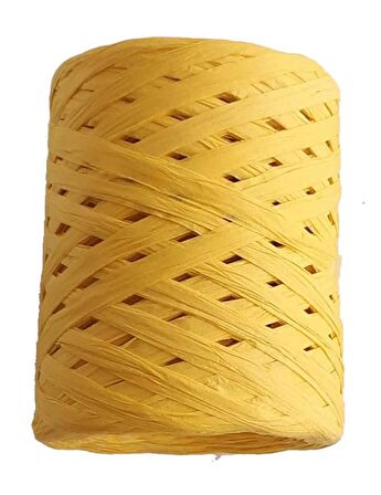 100 gr rafya ip (20 numara)