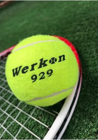1 Adet Antrenman Tenis Topu Sarı, Tek Ebat, WRKNSR01T, SARI