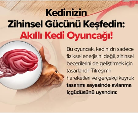 Kedi Oyuncağı Topu Kuyruklu Otomatik Yuvarlanan Top, Hareketli Kuyruk, USB Şarjlı, LED Işıklı, 3 Oyun Modu, Evcil Hayvanlar İçin Eğlenceli İnteraktif Oyuncak