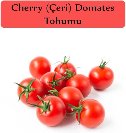 Çeri Domates Tohumu 1 Paket (1Gr=250+ Adet) Cherry Domates Salkım Domates Tohumu
