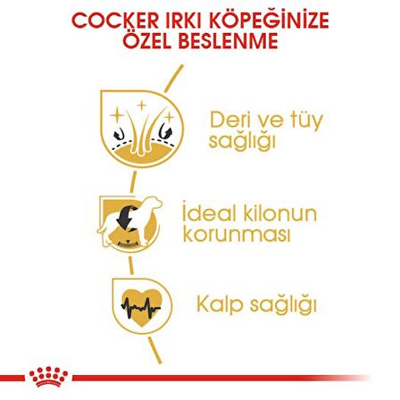 Royal Canin Cocker Kuru Köpek Maması 3kg