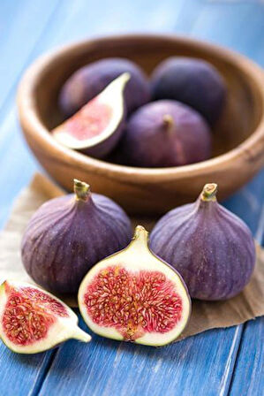 Saksılı Mor Renkli İncir Fidanı (Ficus carica) - 1-2 Yaşında, Kolay Yetişen