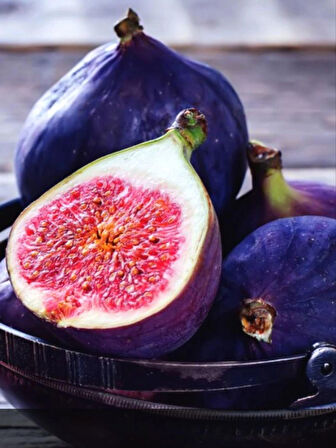 Saksılı Mor Renkli İncir Fidanı (Ficus carica) - 1-2 Yaşında, Kolay Yetişen