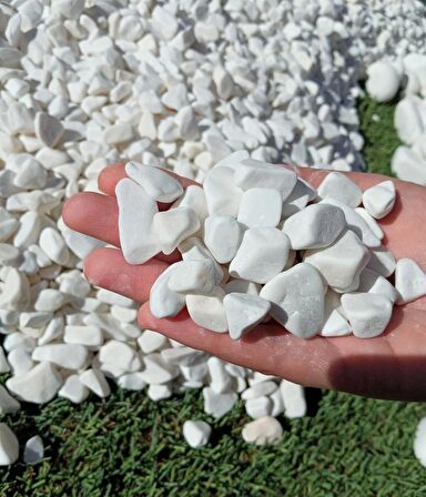 Mezar Taşı 1 Kg 1-2 Cm Beyaz Dolomit Taş Dere Çakıl Taşı Bahçe Süs Taşı Mezar Süsleme Taşı