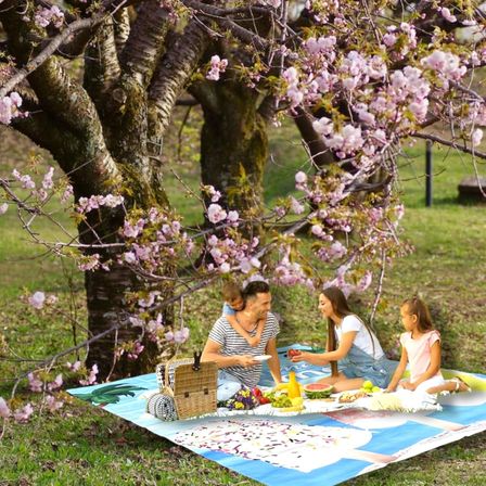 Plaj Havlusu, Piknik Örtüsü, Matı, Çantalı Hasırı, Kamp Battaniyesi, Katlanabilir, Hafif (Plaj Dondurması-Deniz Mavisil)