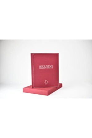 Bernini and the Rome of Alexander VII