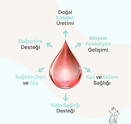 Pure Salmon Vitality%100 Doğal Norveç Somon Yağı, Omega 3 ve 6, E Vitamini, Kedi ve Köpek, 250 ML