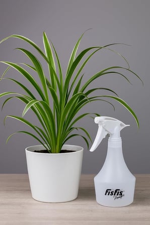 MP872 Yağmur500 Pro10 Endüstriyel 1.0cc Fısfıs 0,5Litre