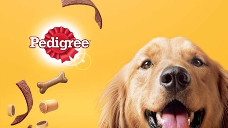 Pedigree Köpekler İçin Tavuklu Konserve Yaş Mama 400 G