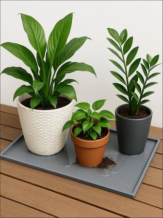 Silikon Saksı Altlığı ve Viyol Tepsisi (60x40 cm) - Su Geçirmez Bitki Koruyucu Mat, Fide Yetiştirme ve Çiçek Altlığı, Yükseltilmiş Kenarlı Saksı Tablası, Gri Renk
