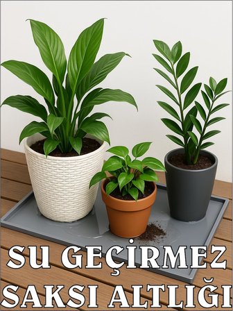 Silikon Saksı Altlığı ve Viyol Tepsisi (60x40 cm) - Su Geçirmez Bitki Koruyucu Mat, Fide Yetiştirme ve Çiçek Altlığı, Yükseltilmiş Kenarlı Saksı Tablası, Gri Renk