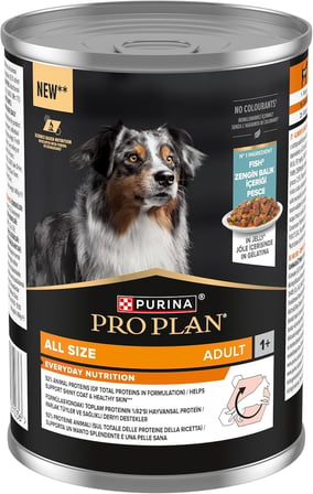 Yetişkin Köpekler İçin Balıklı Konserve Yaş Mama 400 Gram
