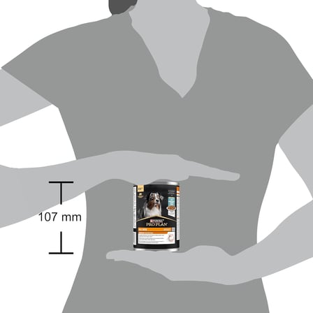 Yetişkin Köpekler İçin Balıklı Konserve Yaş Mama 400 Gram