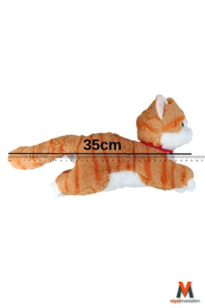 Sevimli Peluş Yavru Kedi 35 cm | Sesli Miyavlayan Oyuncak | Uyku ve Oyun Arkadaşı | 4 Renk Seçeneği